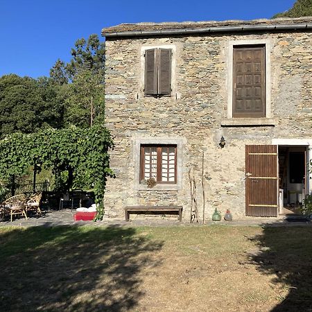 Maison De Charme Corse Sauvage Pietra-di-Verde Eksteriør bilde
