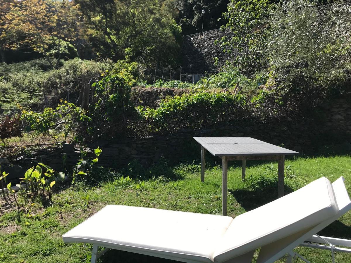 Maison De Charme Corse Sauvage Pietra-di-Verde Eksteriør bilde