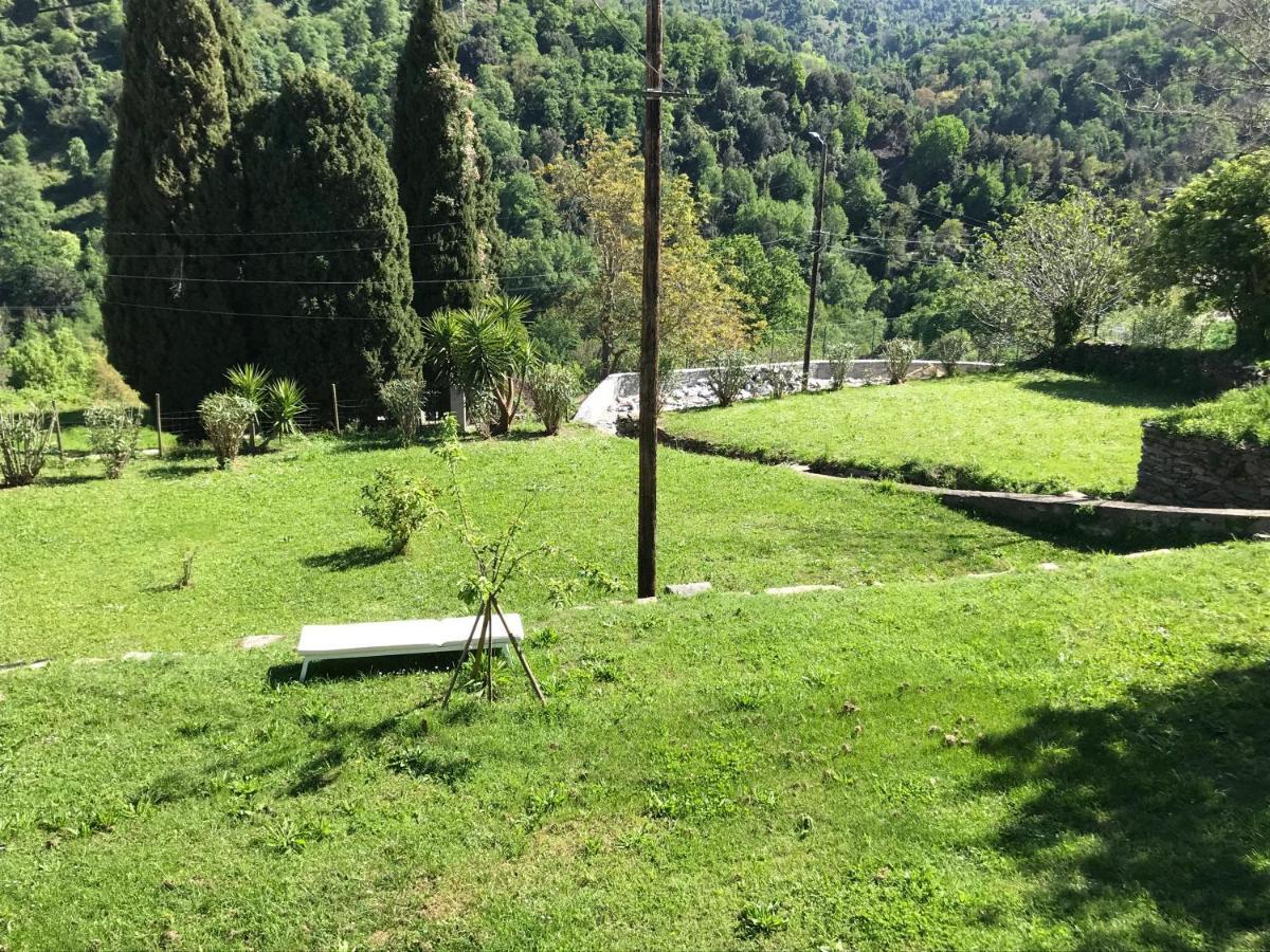 Maison De Charme Corse Sauvage Pietra-di-Verde Eksteriør bilde
