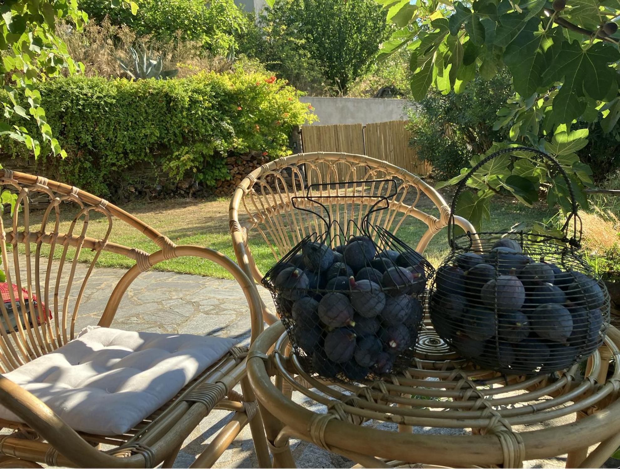 Maison De Charme Corse Sauvage Pietra-di-Verde Eksteriør bilde