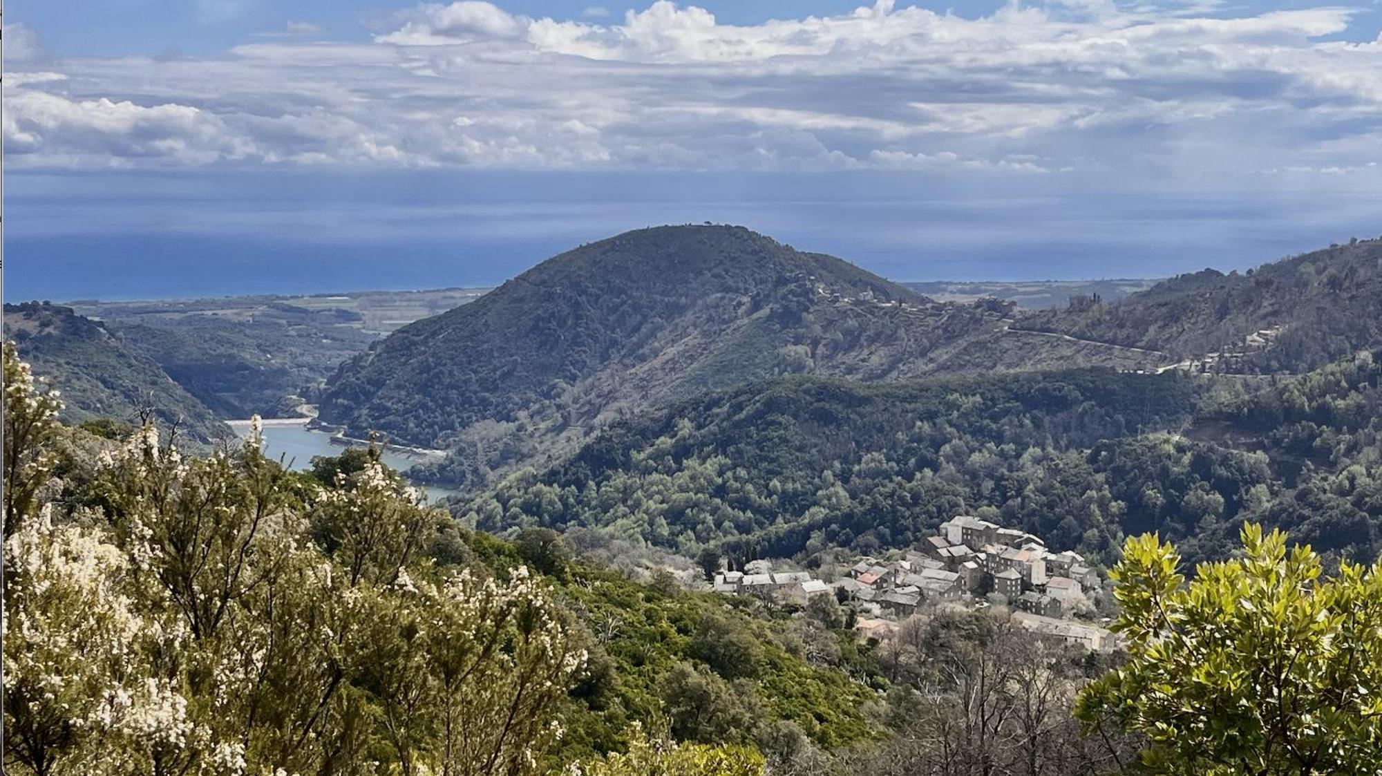 Maison De Charme Corse Sauvage Pietra-di-Verde Eksteriør bilde