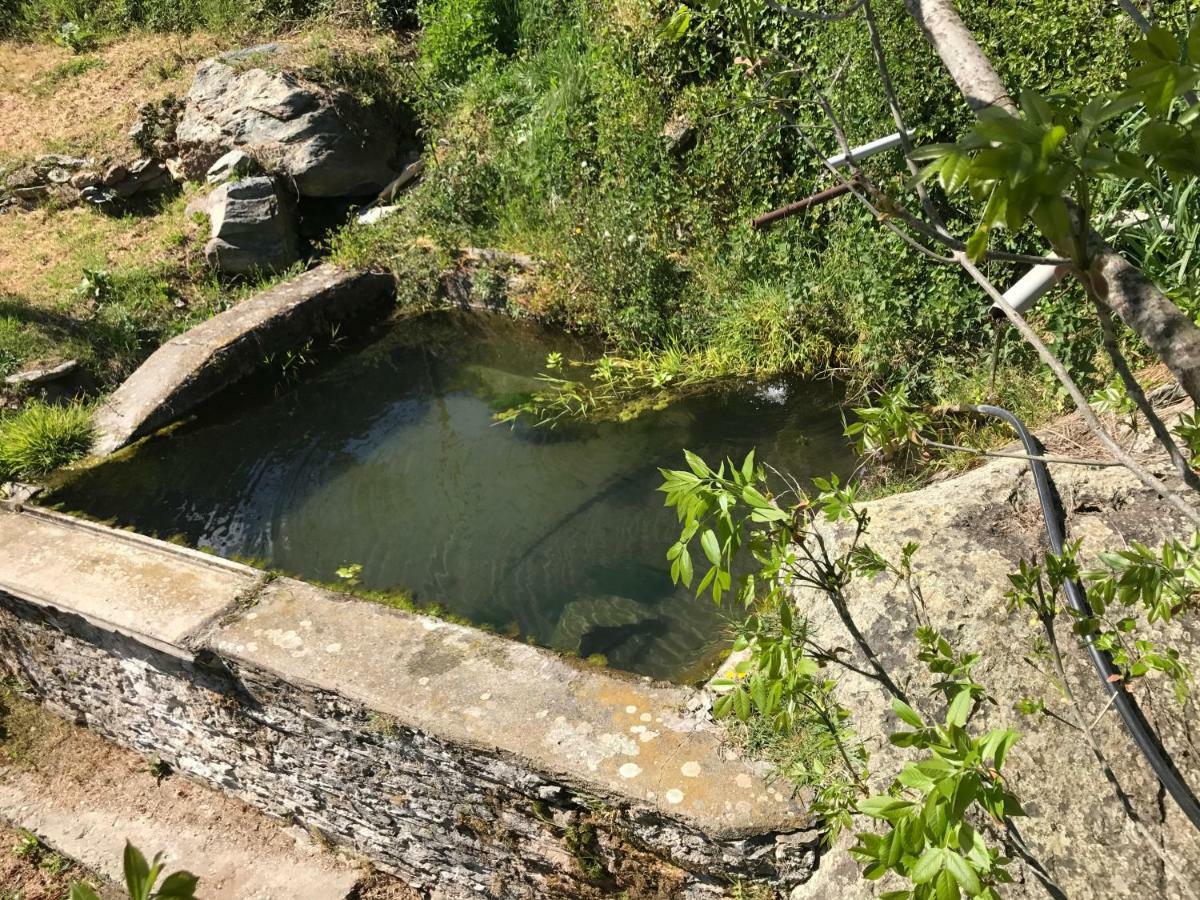 Maison De Charme Corse Sauvage Pietra-di-Verde Eksteriør bilde