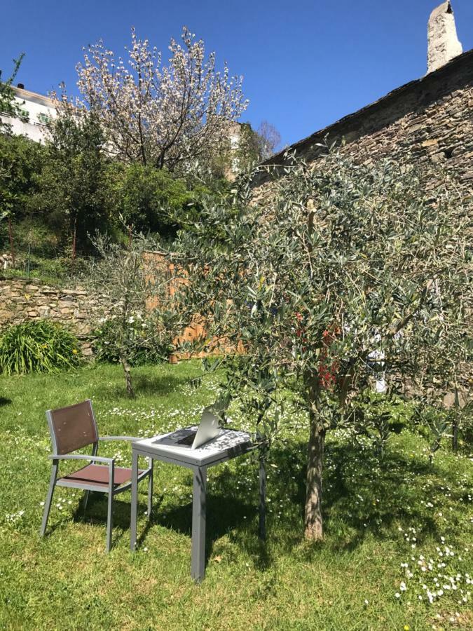Maison De Charme Corse Sauvage Pietra-di-Verde Eksteriør bilde