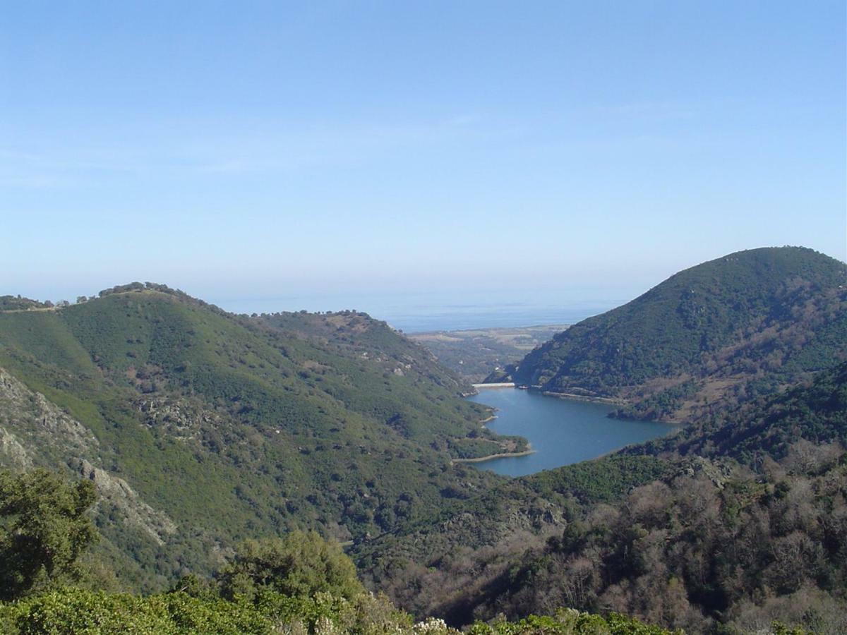 Maison De Charme Corse Sauvage Pietra-di-Verde Eksteriør bilde